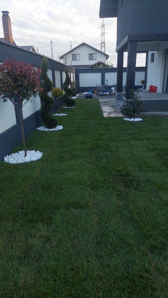 Amenajări grădini gazon și plante ornamentale
