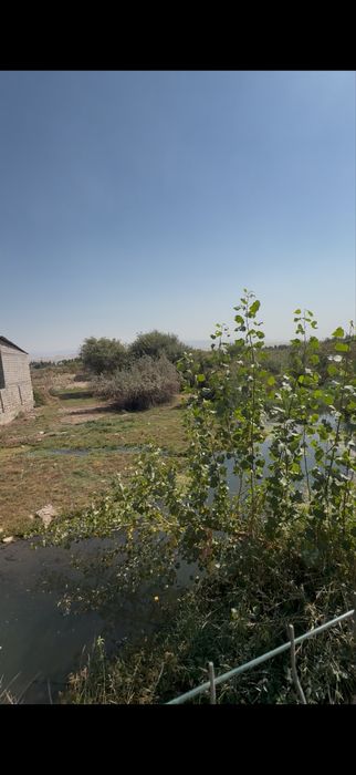 Дача продаётся в Чирчике, в дачном посёлке