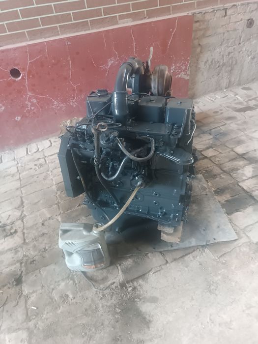 Italyaniski mator sotiladi