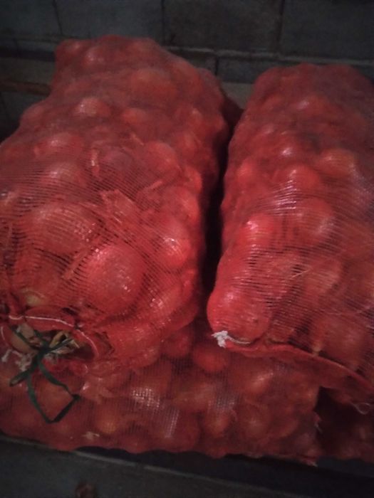 Продаю лук 2000тг