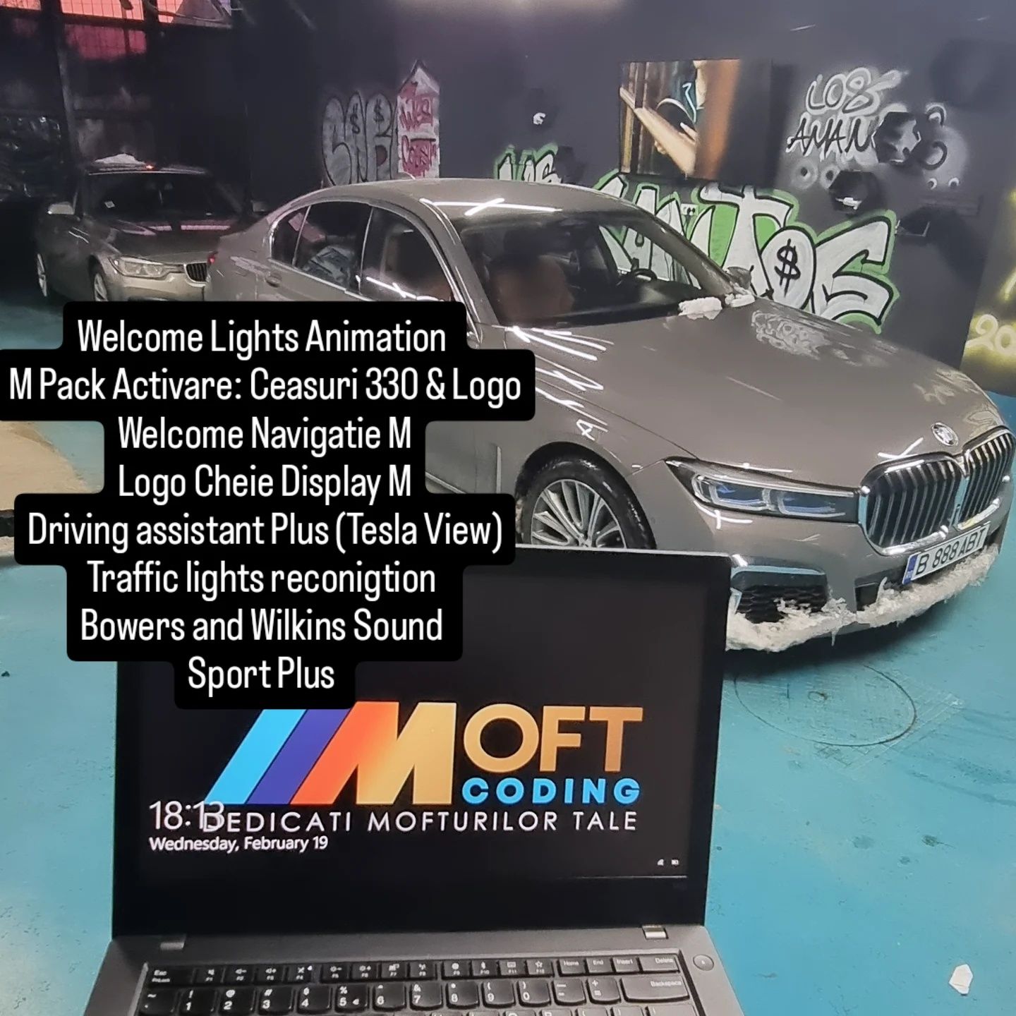 Activari Functii / Codari BMW F G / Tesla Mode View BMW / Android Auto