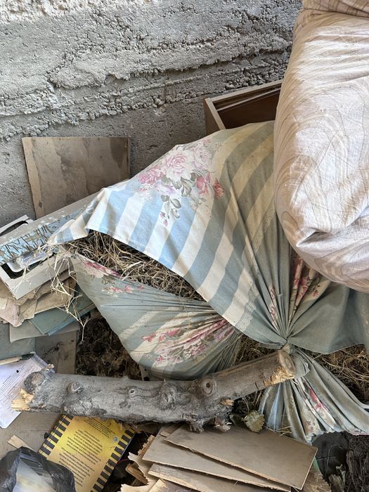 O’t makka poya non qoq sotiladi