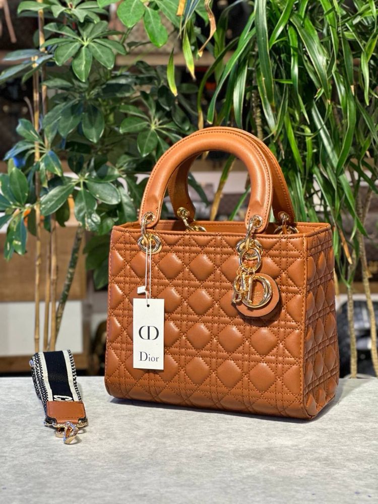 Geanta Dior Noua !!! Dimensiuni 25/20 !!!