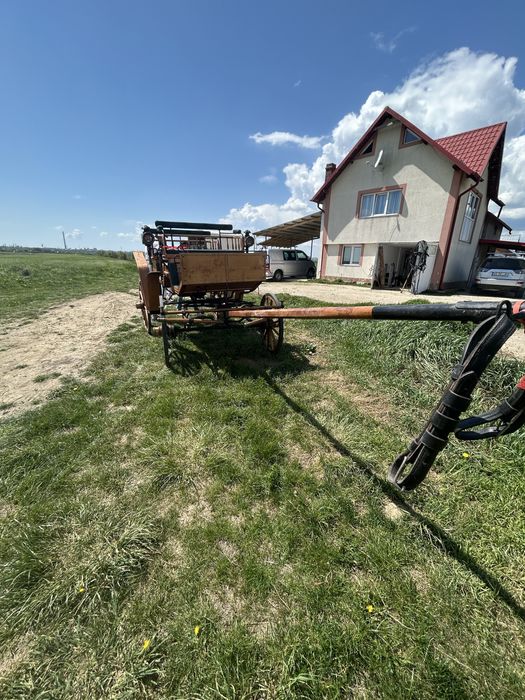 Vand trasura adusa Olanda