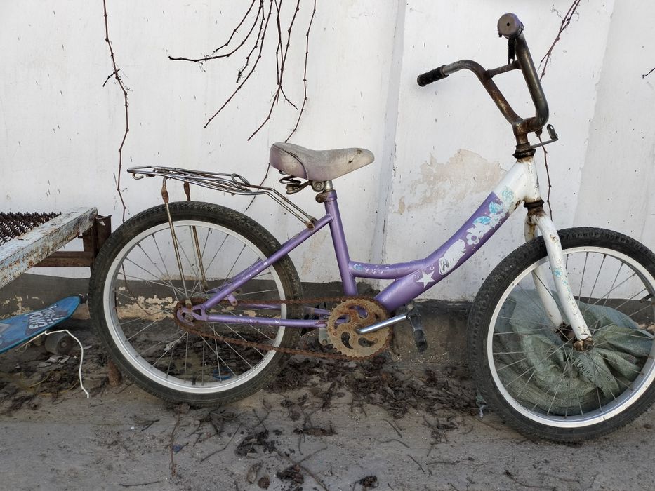 Велик сатлады арзан бағада