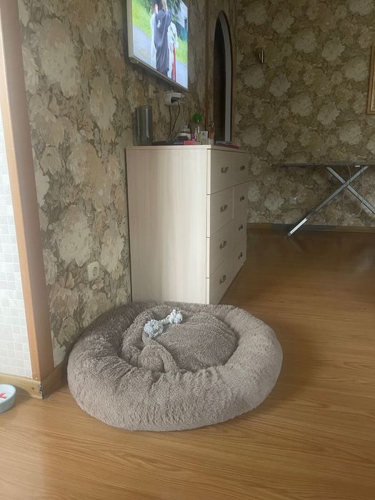 Продам лежанку для животного