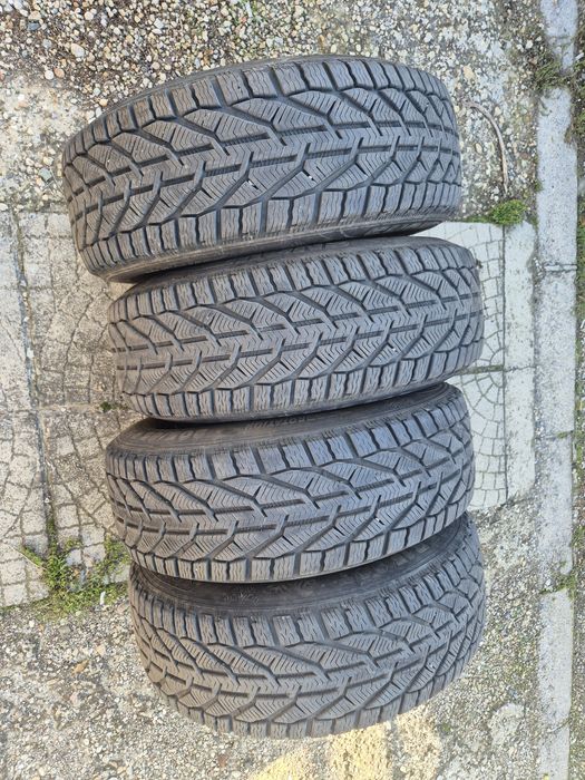 205 65 15 Корморан дот 4423г