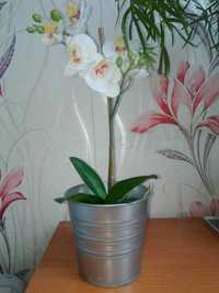 Орхидея искусственная Икея. Возможна доставка.