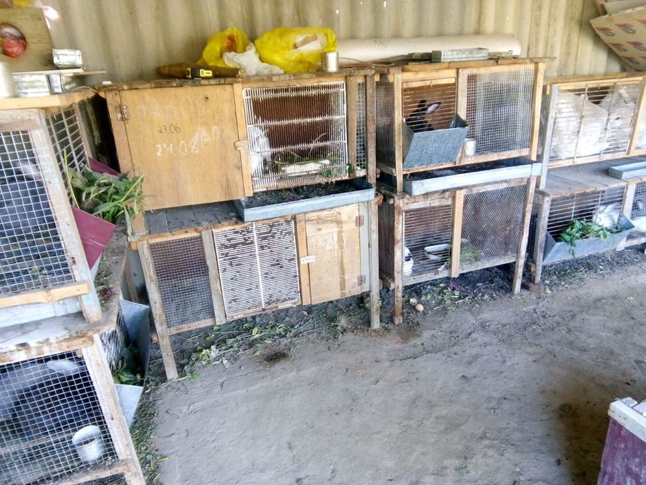 Крольчатники самодельные