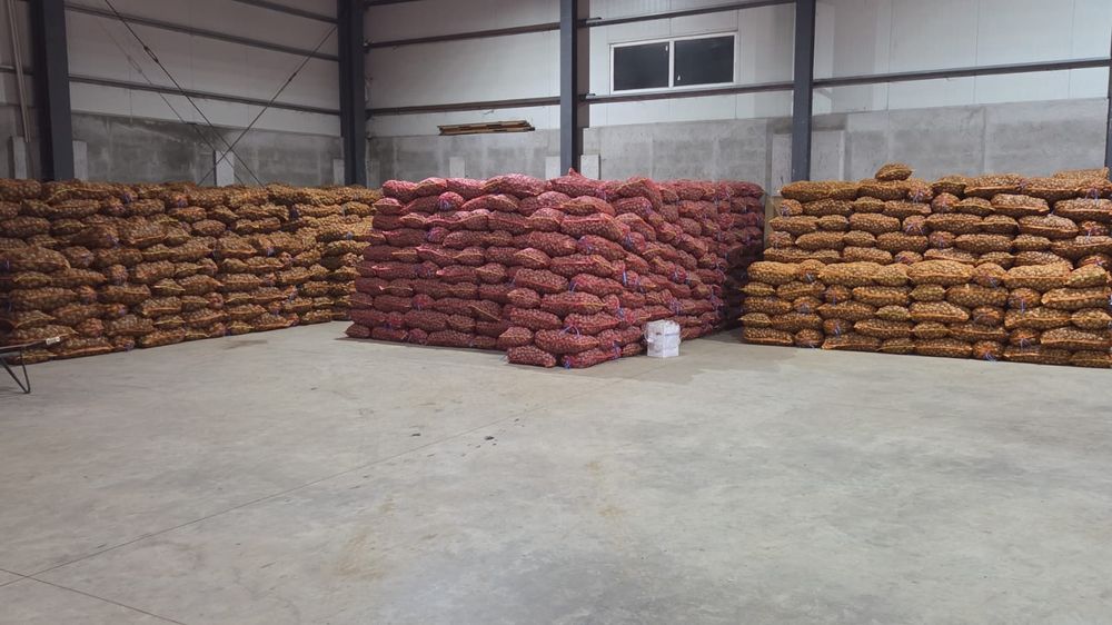 Cartofi consum calibrat