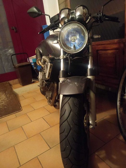 Vand Hond Hornet 600
