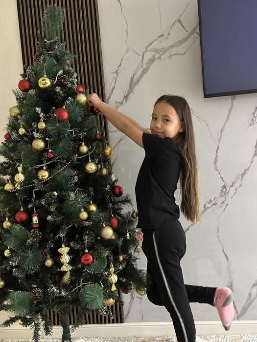 Елка 1.5м.В хорошем состояний.Цена 10000