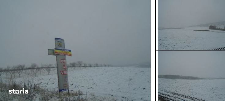 teren Corbita, ID: R1984008