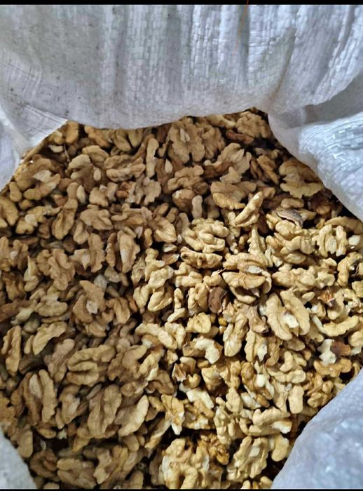 Sâmburi de nuca de cutie