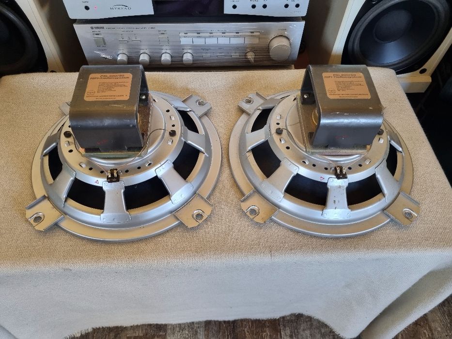 Set Difuzoare Mid/Bass Isophon Alnico PSL 300/50. 30 cm. Impecabile.