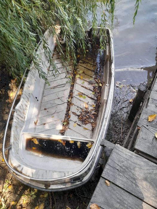 Barca si motor Mercury