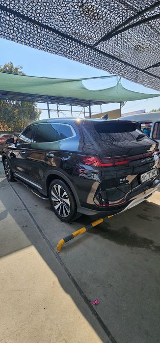 byd 605 champion