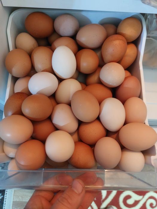 Домашние  яйца из дома