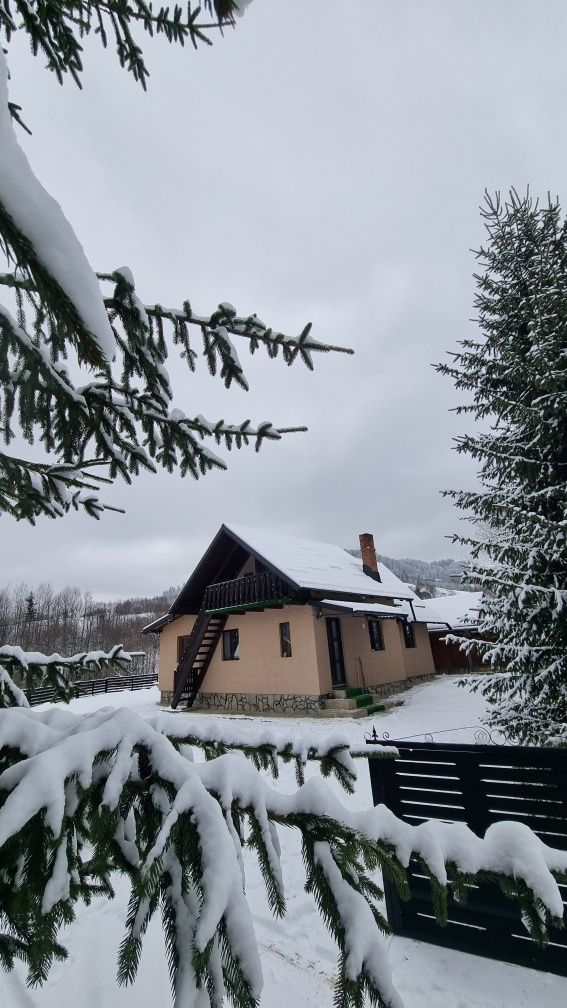 Cabană/Căsuța Alesia&David+4185m teren intravilan,Bucovina CâmpulungMo