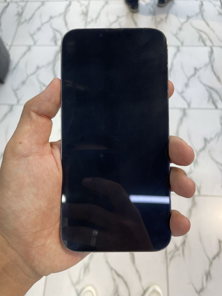 iPhone 13 Pro Max