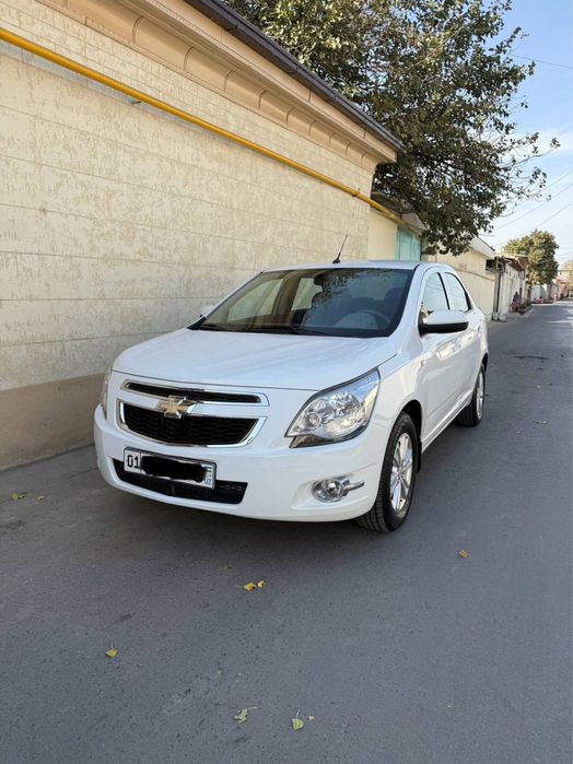 Kobilt 2022 Yili