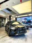 BYD song plus champion