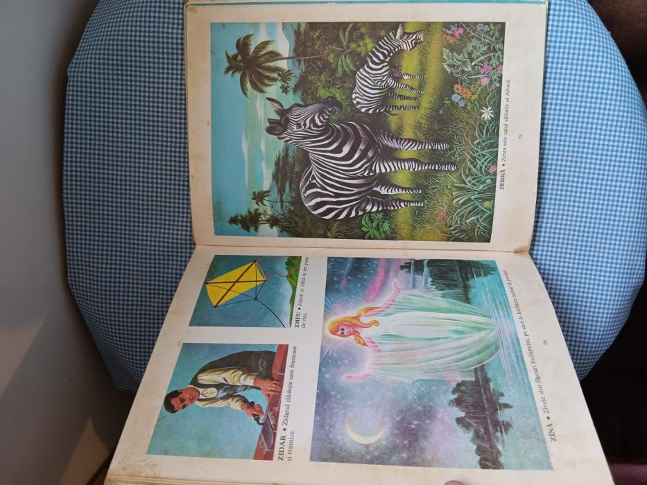 Carte Primul meu dictionar, Albin Stanescu, copii  perioada comunista