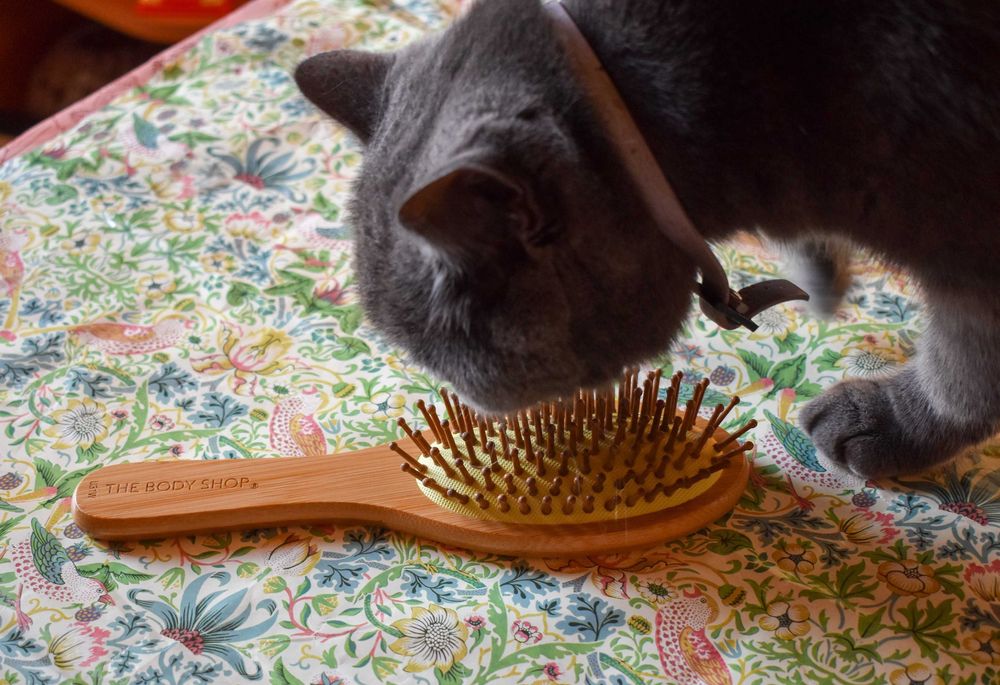 Perie păr Bambus The Body Shop