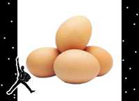 Бройлерные яйца АРБОР АЙКРЕС в отправка каждую каждую неделю по Кз