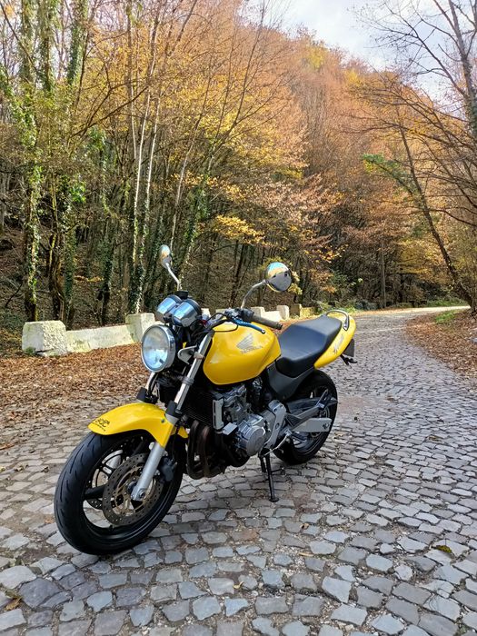 Honda hornet 600 2002