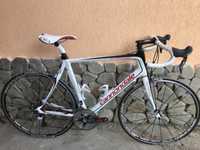 Cursiera carbon Cannondale Synapse full ultegra