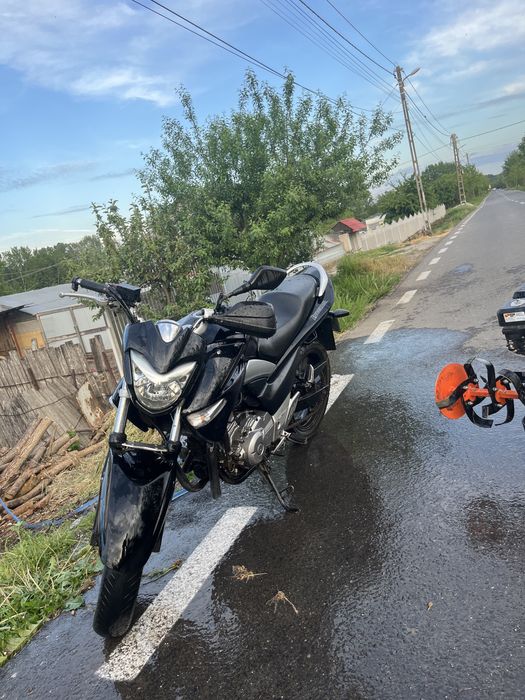 Vand suzuki inazuma 2015
