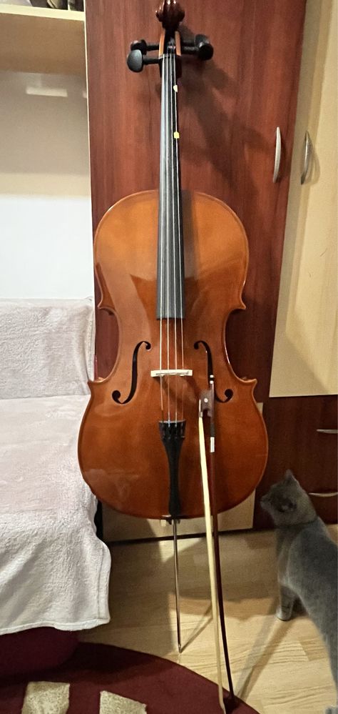 Violoncel 3/4 ,arcus,sacaz si husa aproape noi