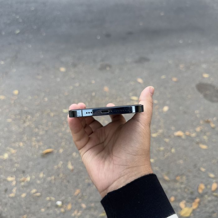 Iphone 12 pro max