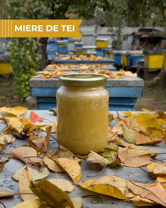 Vând miere de tei 100% naturală - 2025 - stupină proprie