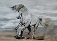 Картина маслом "Белая лошадь"