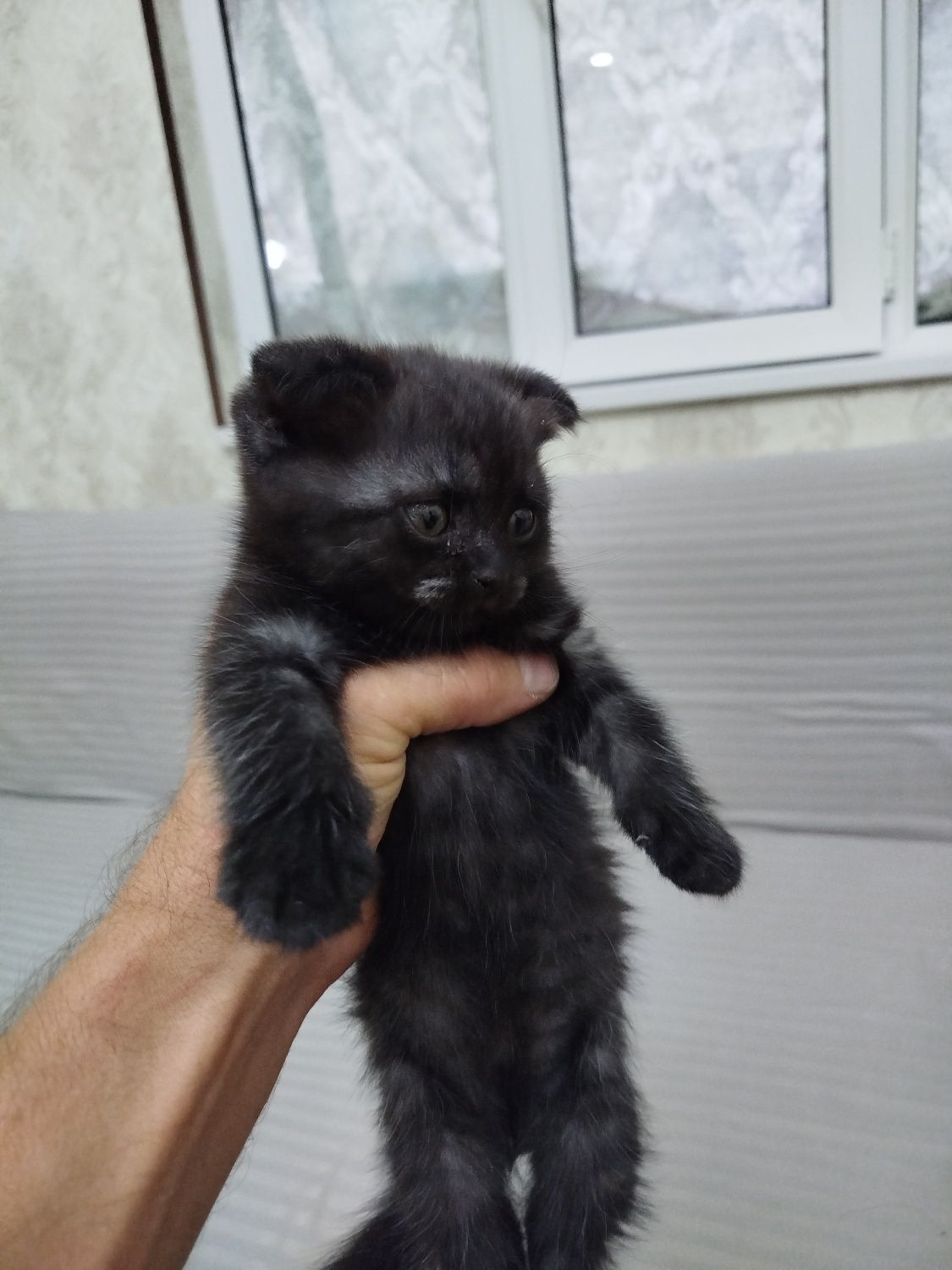 Чёрные пантеры две девочки