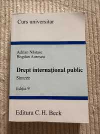 Drept International Public