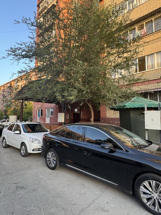 honji 500tali xolat ideal