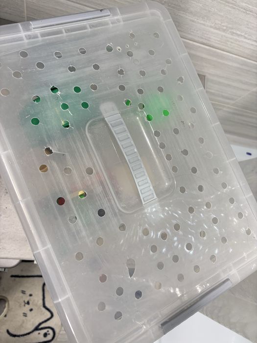 контейнер для хомяка,крыс,морских свинок и т.д