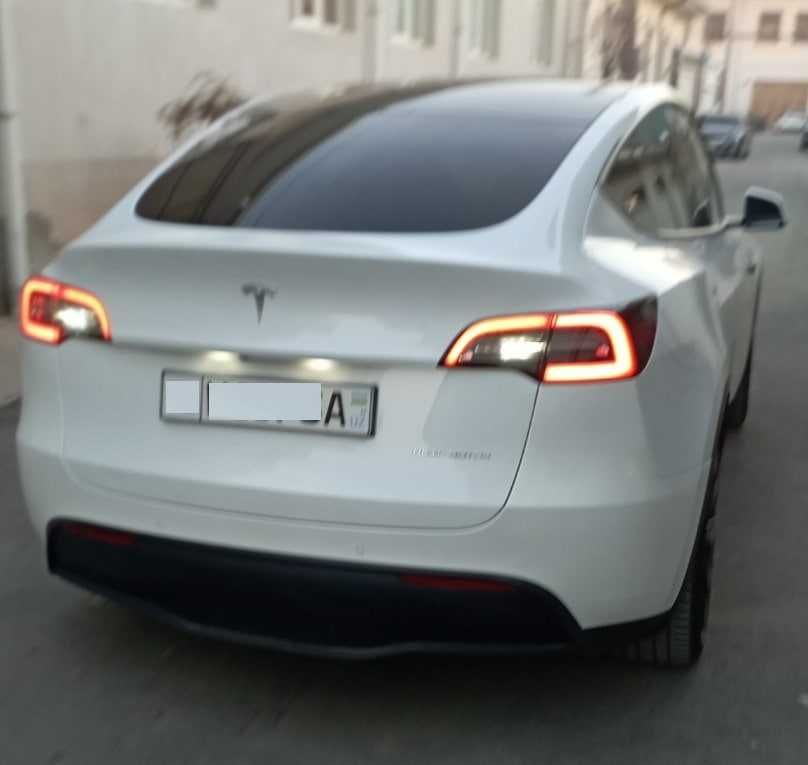 Tesla Model Y Long Range Dual motor(USA)