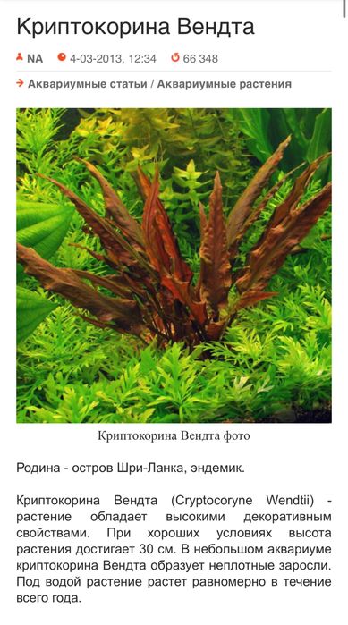 Аквариумные растения