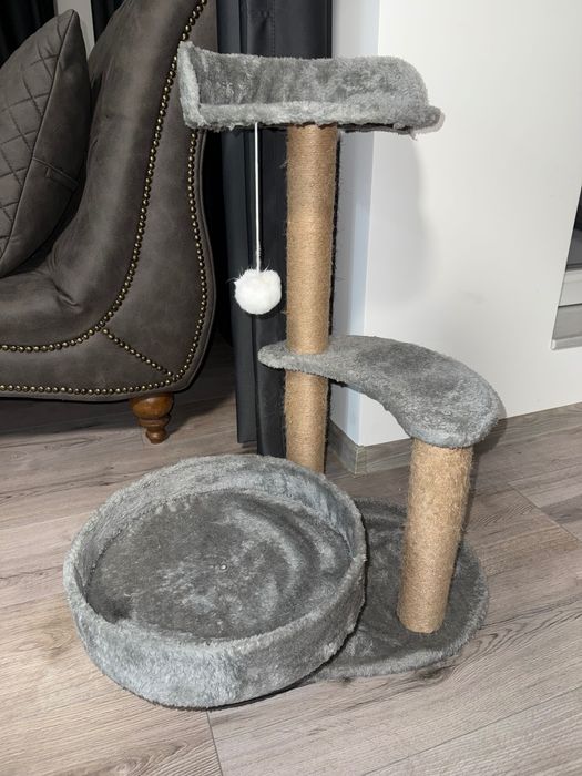 Котешка катерушка