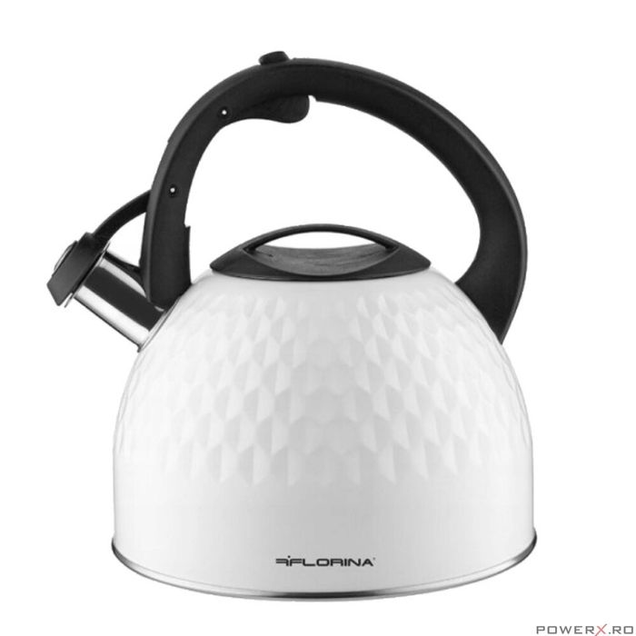 Ceainic din inox cu fluier, fierbator traditional, capacitate 2.5