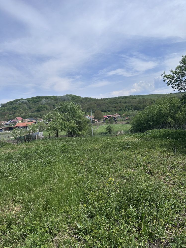 Vand gradina/loc de casa Tritenii de Jos