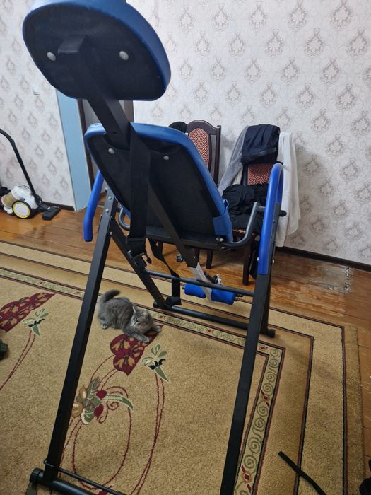 Инверсионный стол