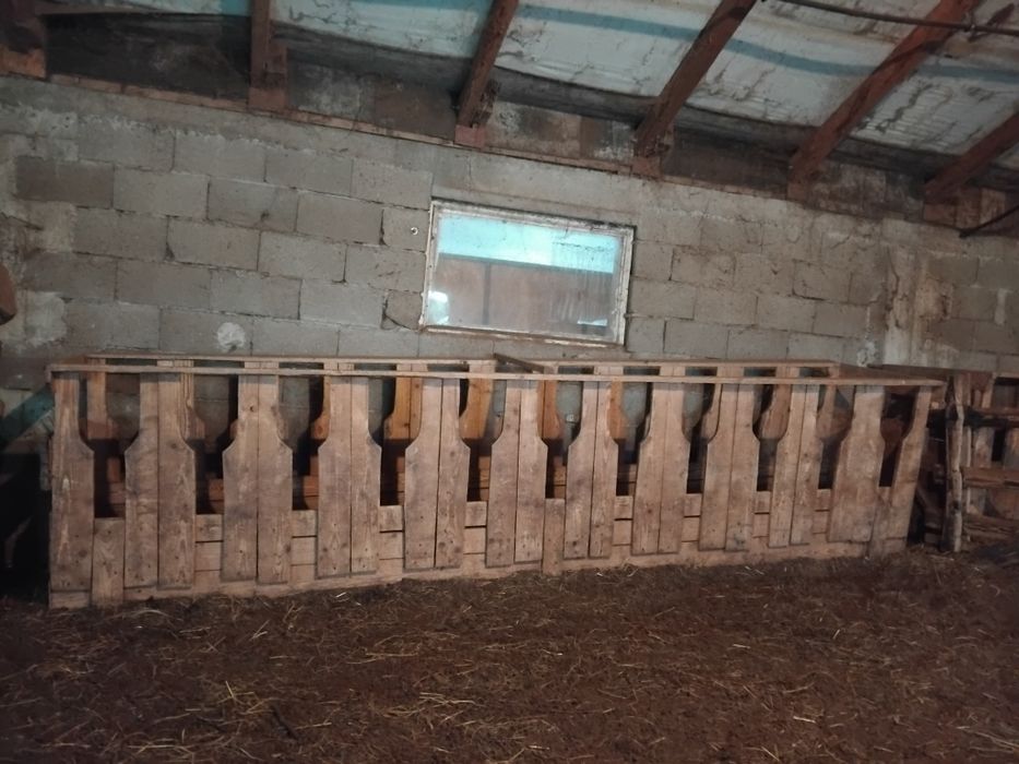 Vând lăzi, alimentator furaj