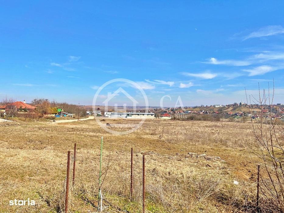 Teren 130.000 mp de vanzare in Paleu, Oradea