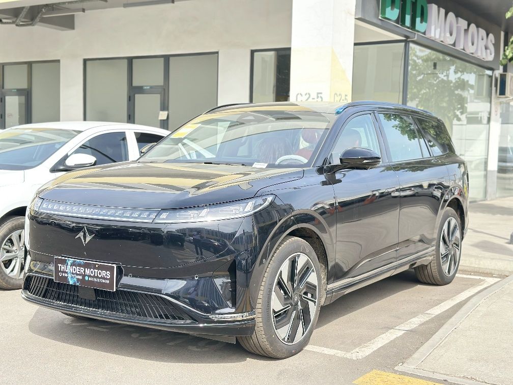 Dongfeng ep ultra 008