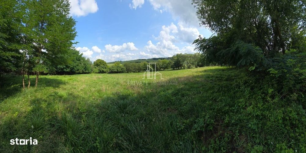 Teren, Albești, str Podului